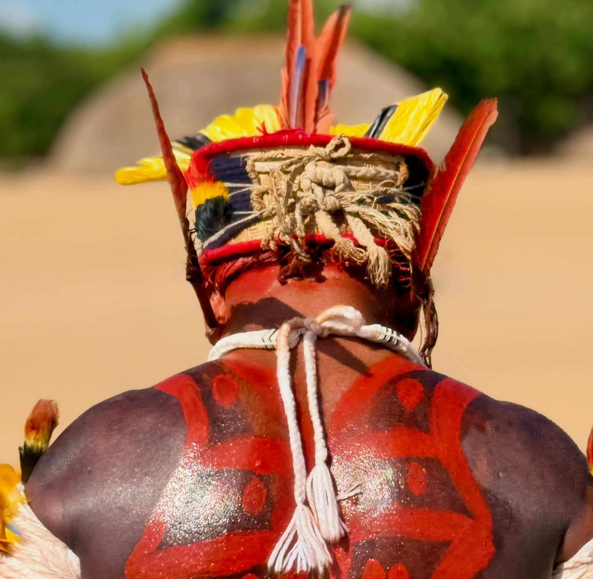 Guerrero del Alto Xingú con tocado ceremonial de plumas